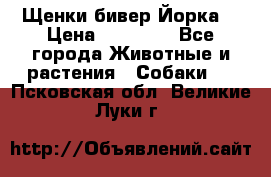 Щенки бивер Йорка  › Цена ­ 30 000 - Все города Животные и растения » Собаки   . Псковская обл.,Великие Луки г.